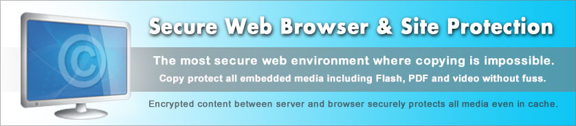 모든 미디어에 대한 웹 사이트 보호 및 보안 웹 브라우저