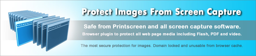 이미지, 웹 페이지 및 웹 미디어에 대한 보호 복사